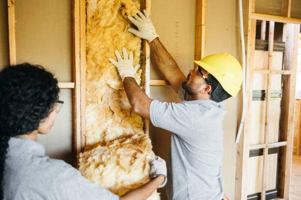 Best Insulation Replacement Services  in Altoona, PA