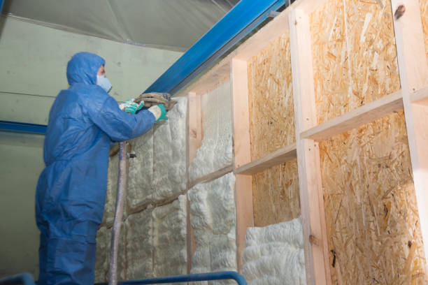 Best Insulation for New Construction  in Altoona, PA