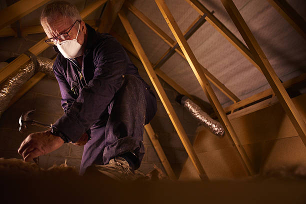 Best Attic Insulation Installation  in Altoona, PA
