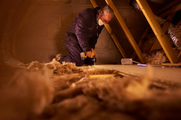Best Wall Insulation Contractor  in Altoona, PA